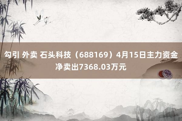 勾引 外卖 石头科技（688169）4月15日主力资金净卖出7368.03万元