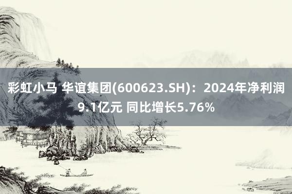 彩虹小马 华谊集团(600623.SH)：2024年净利润9.1亿元 同比增长5.76%