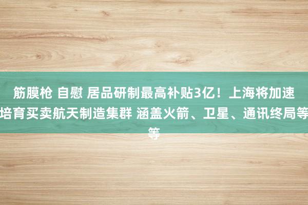 筋膜枪 自慰 居品研制最高补贴3亿！上海将加速培育买卖航天制造集群 涵盖火箭、卫星、通讯终局等