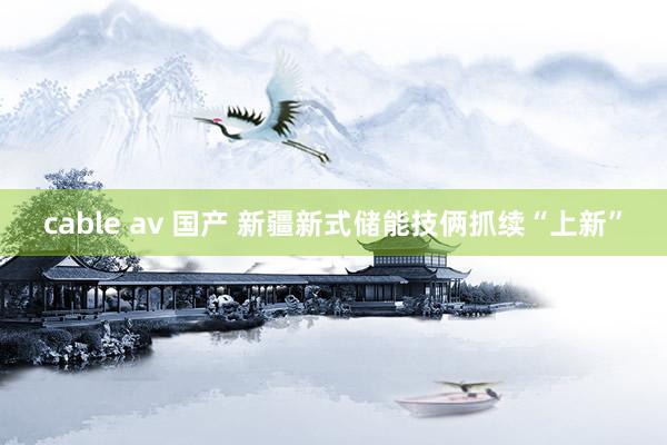 cable av 国产 新疆新式储能技俩抓续“上新”