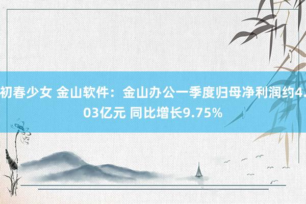 初春少女 金山软件：金山办公一季度归母净利润约4.03亿元 同比增长9.75%