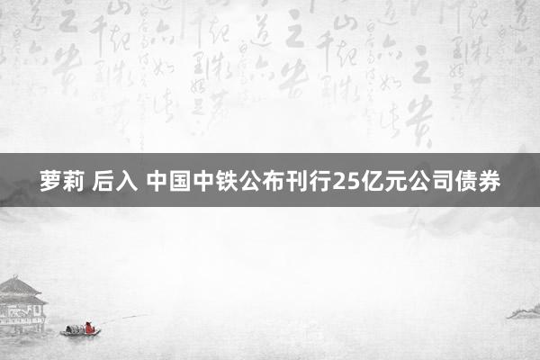 萝莉 后入 中国中铁公布刊行25亿元公司债券